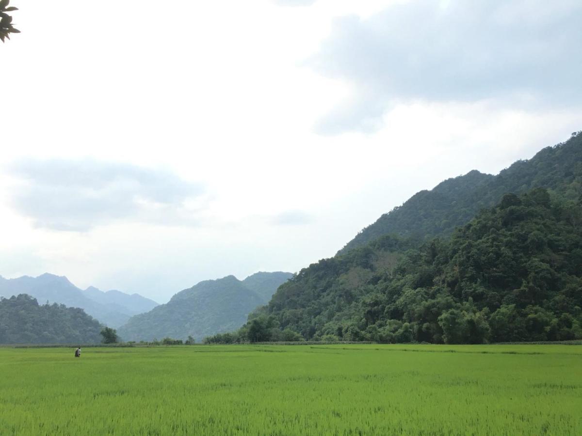 Hoang Quan Homestay Ba Be Екстер'єр фото